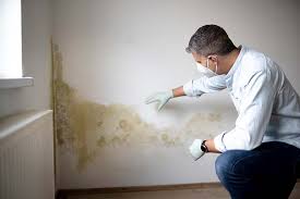 Leakesville, MS Mold Removal Services Company